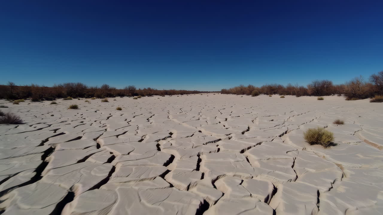Dry cracked earth landscape with shrubs