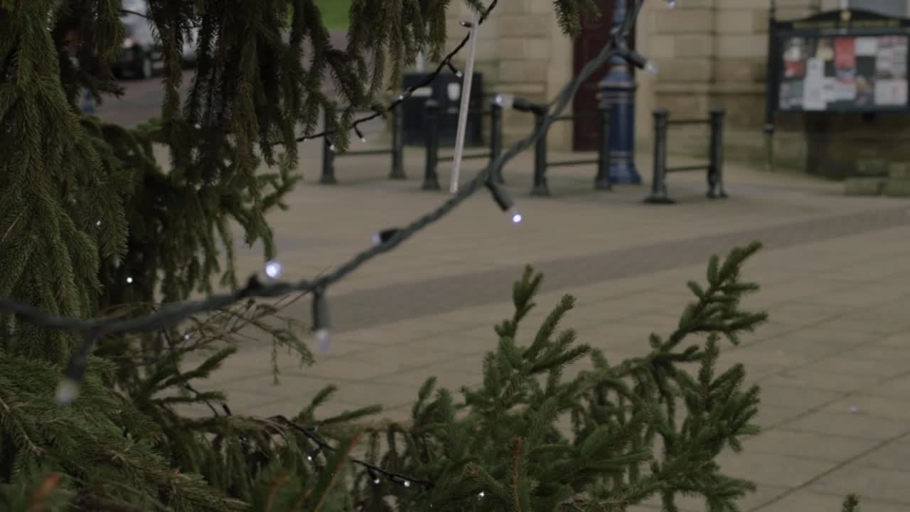 Christmas lights hanging from a tree in town centre