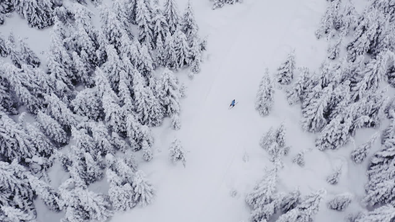 Aerial view of skier in snowy mountains