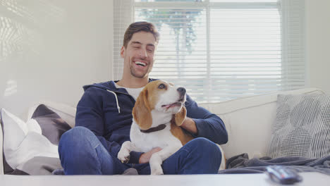 Smiling-man-sitting-on-sofa-stroking-his-pet-dog-while-watching-television-4K-4k