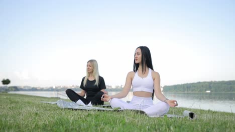two young women practice yoga while sitting on a mat by the lake two young women practice yoga while sitting on a mat by the lake women do yoga against the background of the sky mental health care