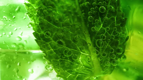 close-up of refreshing green drinks with mint and kiwi