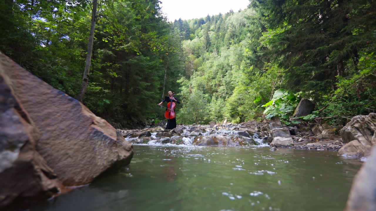Female cellist among mountain river. Woman playing the cello while standing on stones in water on beautiful forest background in summer.