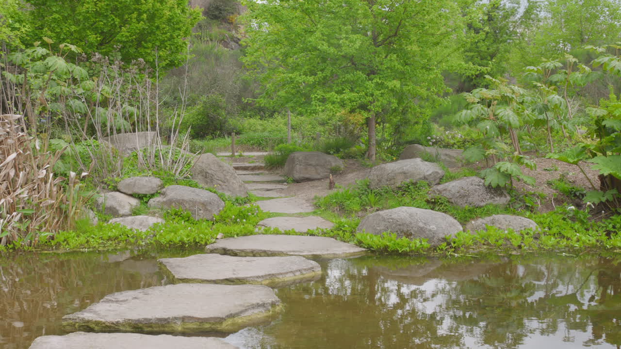 Serene Garden Pond with Stone Path