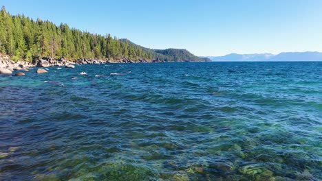 waves peacefully rippling on crystal clear water with the rip rap shoreline of lake tahoe in the sierra nevada mountains with rock boulders and pine tree forest - wide shot
