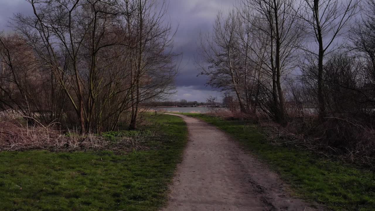 네덜란드 puttershoek에 있는 oude maas 강 근처의 좁은 도로 사이의 초원