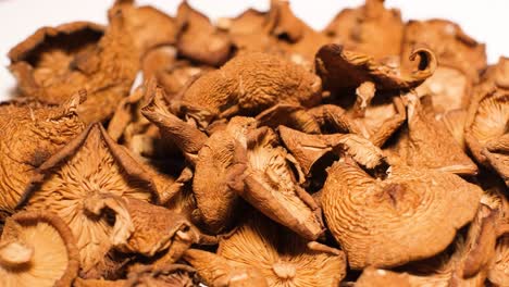 dried forest mushrooms rotate on a plate. dried forest mushrooms rotate on a plate. vegan food