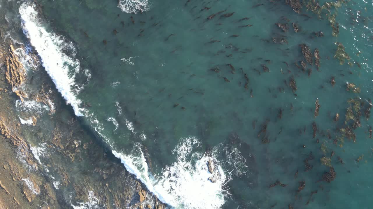 Happy 4K drone shot ascending over clear ocean waves at Laguna Beach with a slow spin. Ideal for travel, coastal nature, relaxing, or cinematic projects