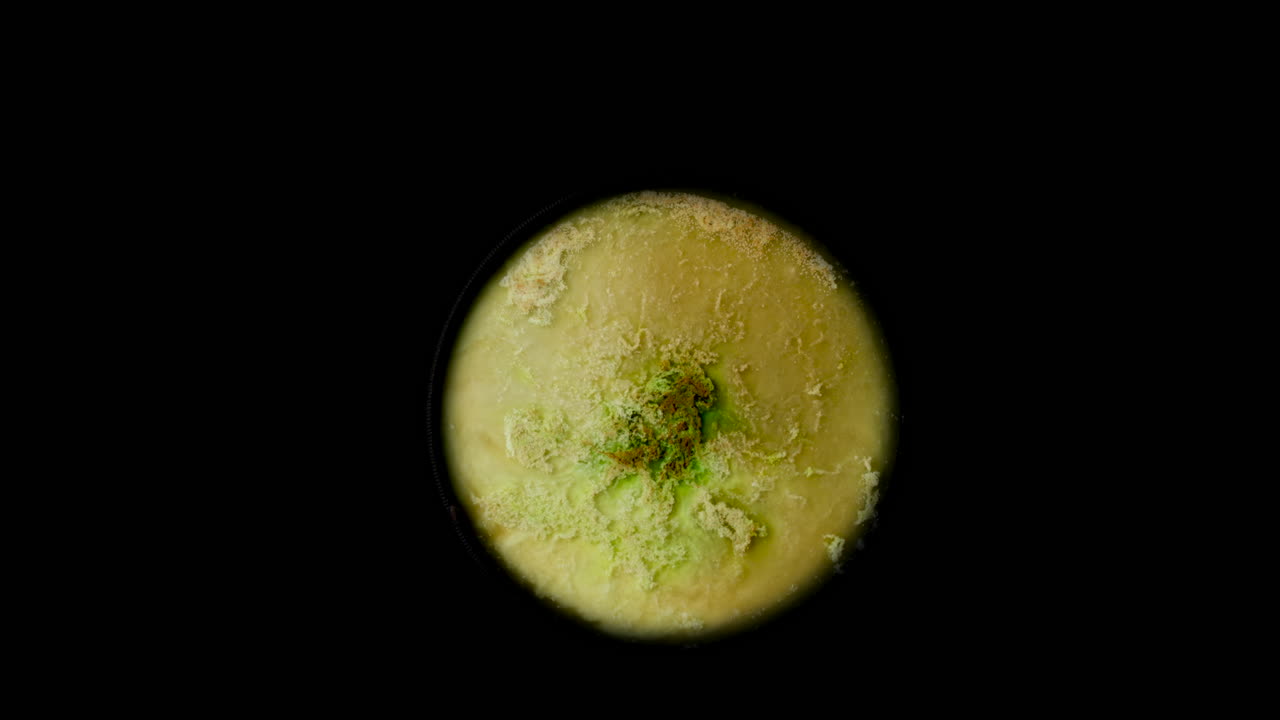 uhd. placa de planeta alienígena. praderas con montañas