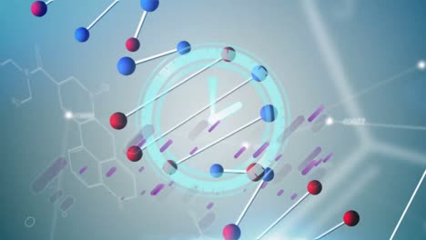 animación de reloj en movimiento y líneas púrpuras sobre la cadena de adn