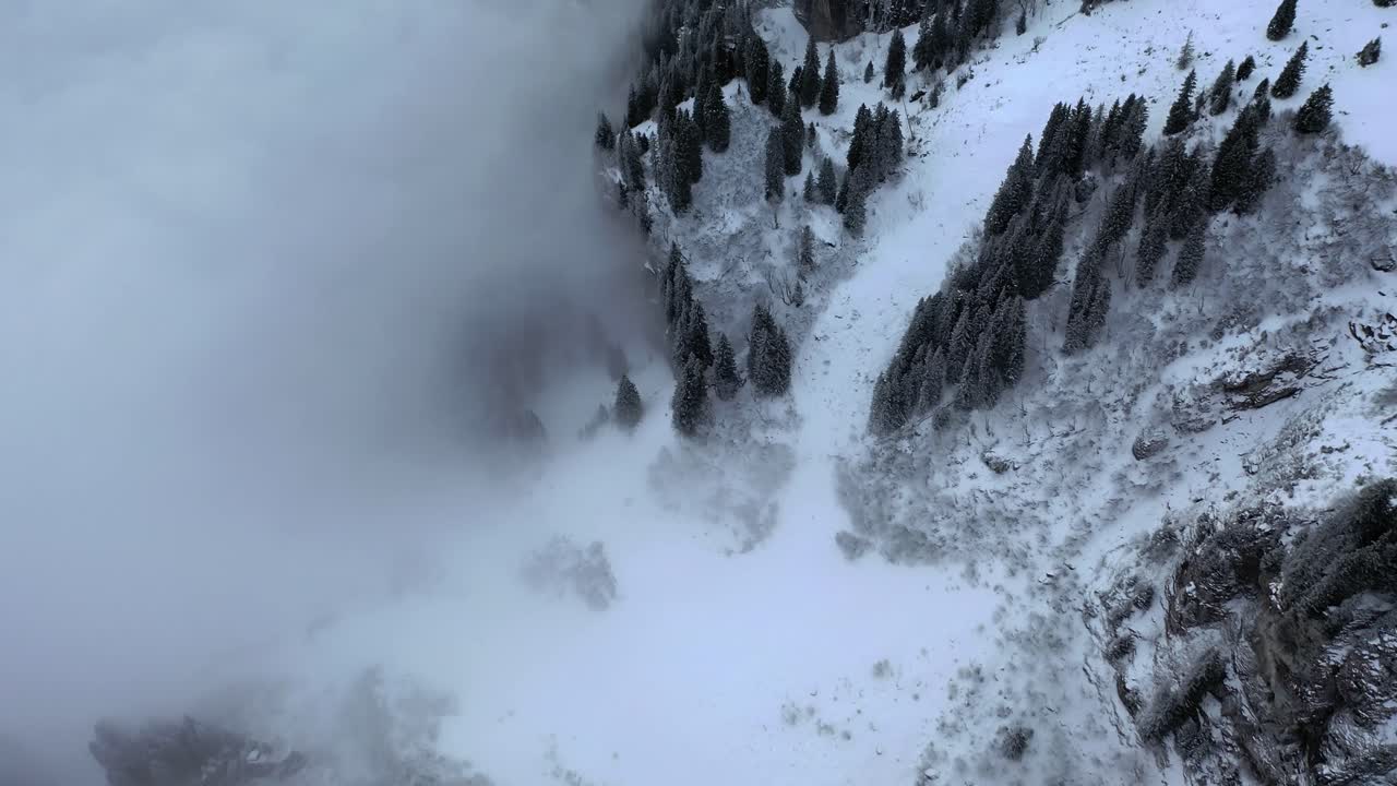 Pine trees pierce cloudy snow covered cliffs of Braunwald Switzerland, aerial