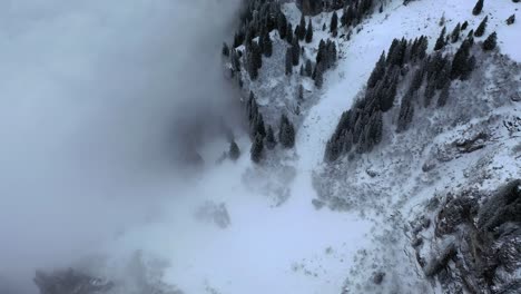 pine trees pierce cloudy snow covered cliffs of braunwald switzerland, aerial