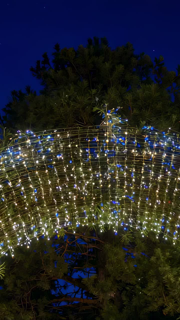 Vertical video: Twinkling light curtain swaying from breeze on arched frame decorating pine tree