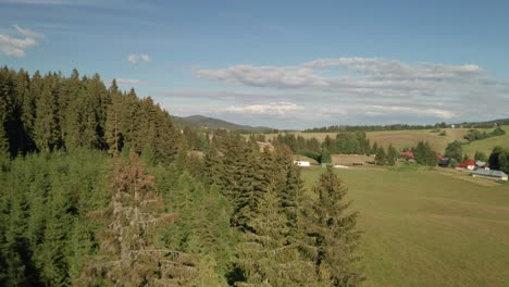 Imágenes-Aéreas-De-Drones-De-Caballos-Pastando-En-Un-Pasto-En-Sihla-Eslovaquia