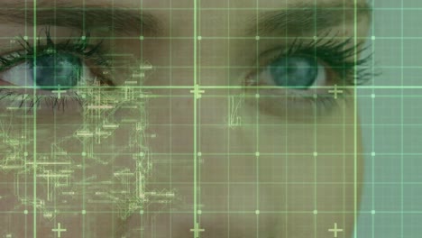 procesamiento de datos a través de la red de cuadrícula contra el acercamiento de los ojos de la hembra