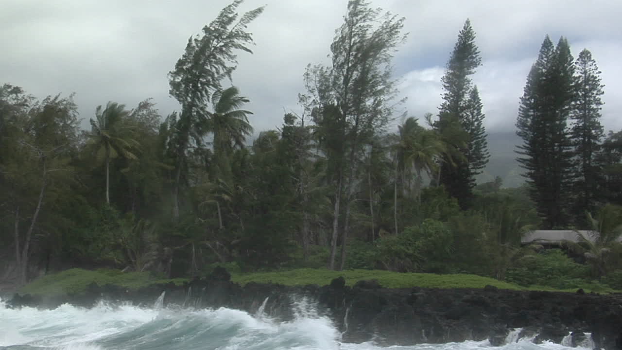 큰 태평양 폭풍이 큰 파도로 하와이를 강타하다 5
