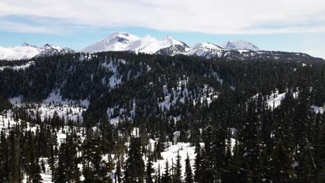 Astonishing-Scene-of-snow-covered-terrain-in-winter,-surrounded-by-wonderful-evergreen-needle-forests