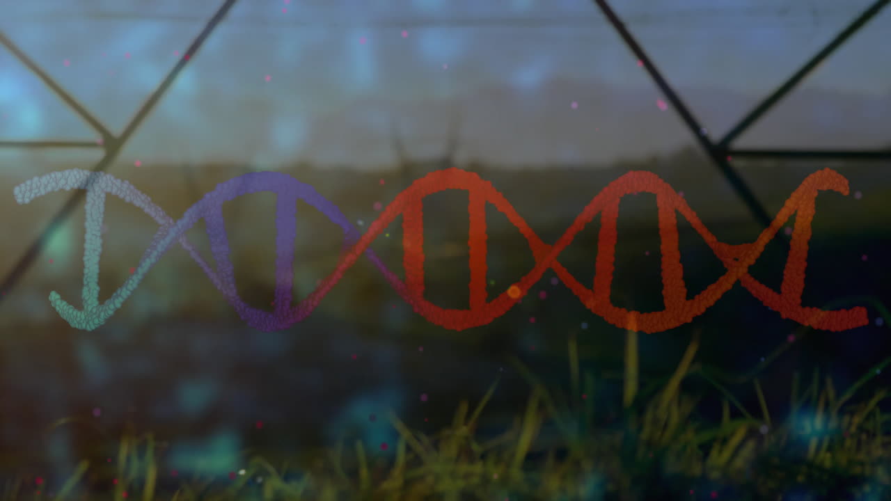 Meerkleurige 3D DNA dubbele helix die zich uitstrekt over een wazig grasveld met gloeiende deeltjes.