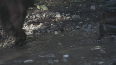 soldiers marching walking in forest closeup view of boots and water on land