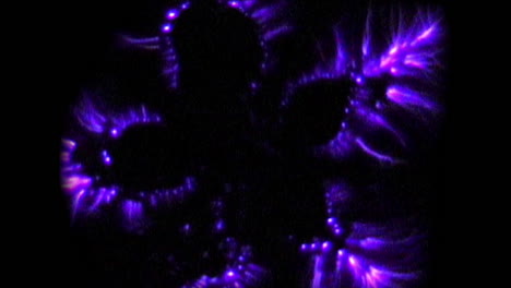 Kirlian-photography-of-star-fruit