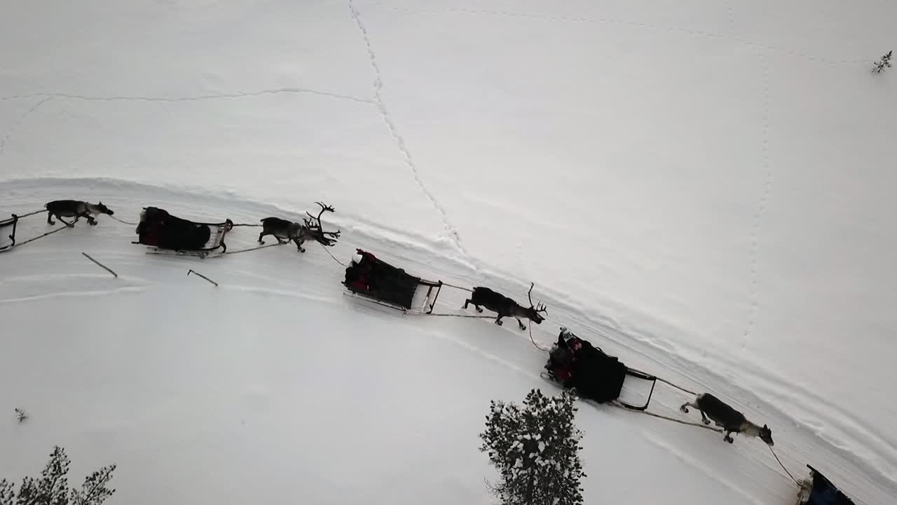 Vista drone di una gita in slitta trainata da renne a Saariselka, Lapponia, Finlandia.