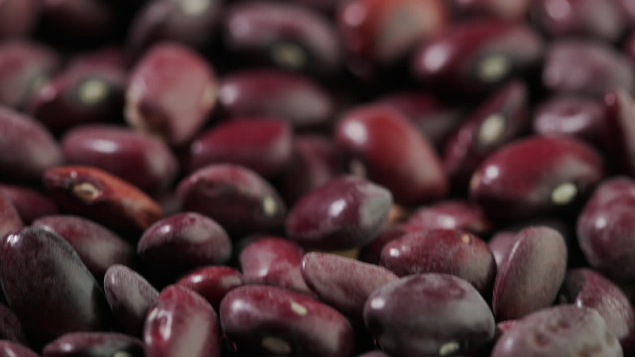 다양한 종류의 콩이 탁자 위에 놓여 있다