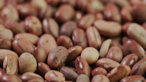 beans of different varieties lie on the table