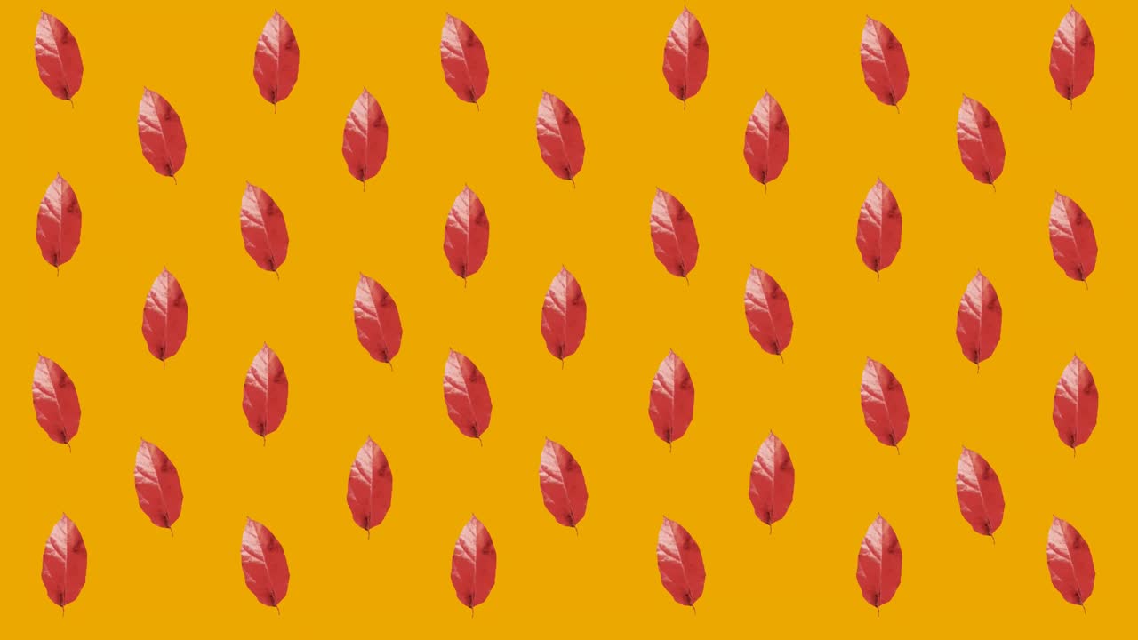 오렌지색 배경 위에 여러 개의  ⁇ 은 가을 잎의 애니메이션