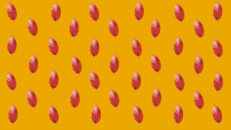 animación de múltiples hojas rojas de otoño sobre un fondo naranja