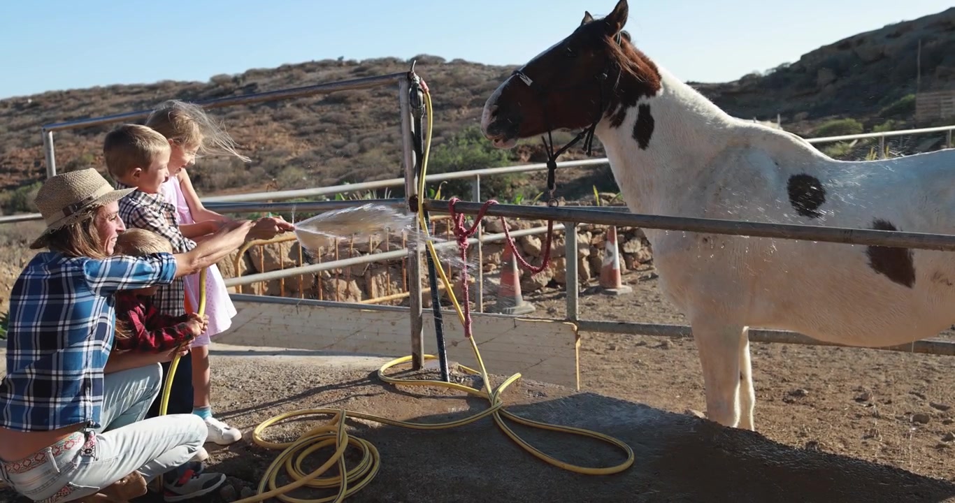 Famiglia con bambini che lava un cavallo con una canna dell'acqua in un ranch