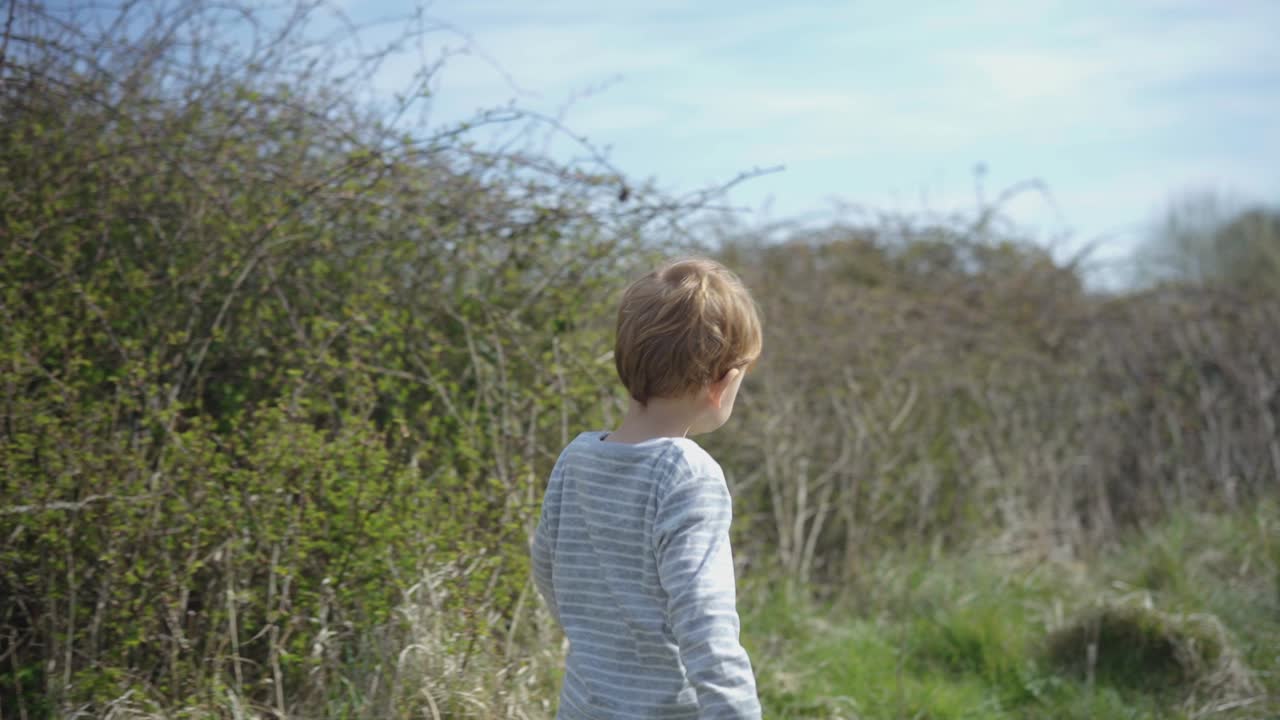 Toddler boy walks in field on sunny day, wandering and exploring field