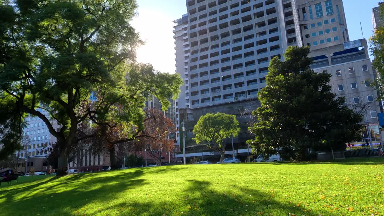 공원 에 있는 스카이라이즈 건물 과 쓰러진 잎