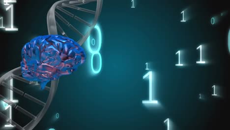 Spinning-DNA-and-a-brain-surrounded-by-binary-codes-