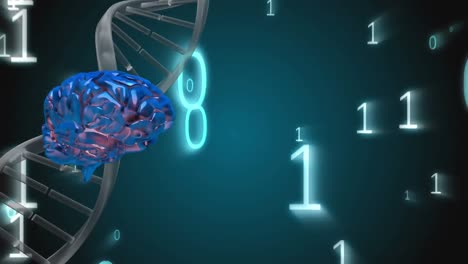 spinning dna and a brain surrounded by binary codes