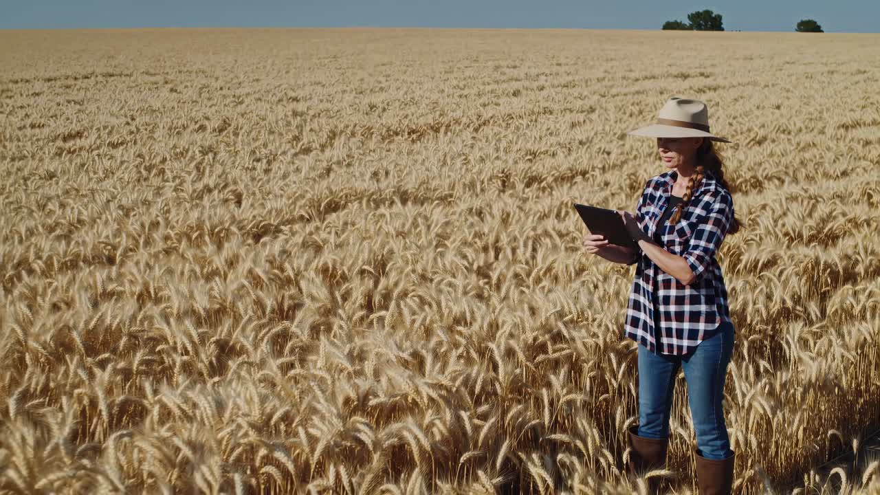 Woman Farmer Using Tablet in Wheat Field