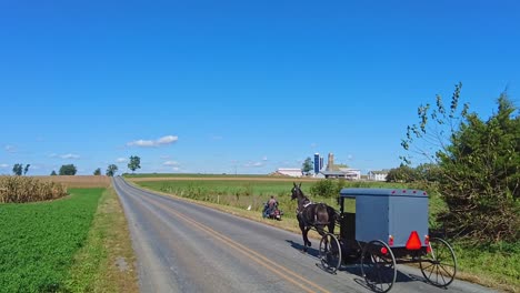 an amish horse and buggy trotting down a country road passing farms, in slow-motion on a beautiful sunny day