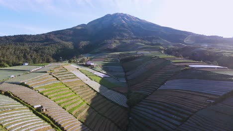 fascinating mountain scenery of terraced farmland