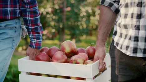 close up of two men carrying a full crate of apples