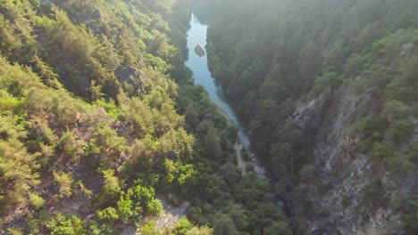 Top-view-narrow-downcutting-canyon-formed-by-river,-lined-with-tall-deciduous-and-pine-trees