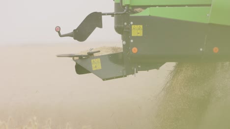 harvesting ripe wheat on a field in ukraine