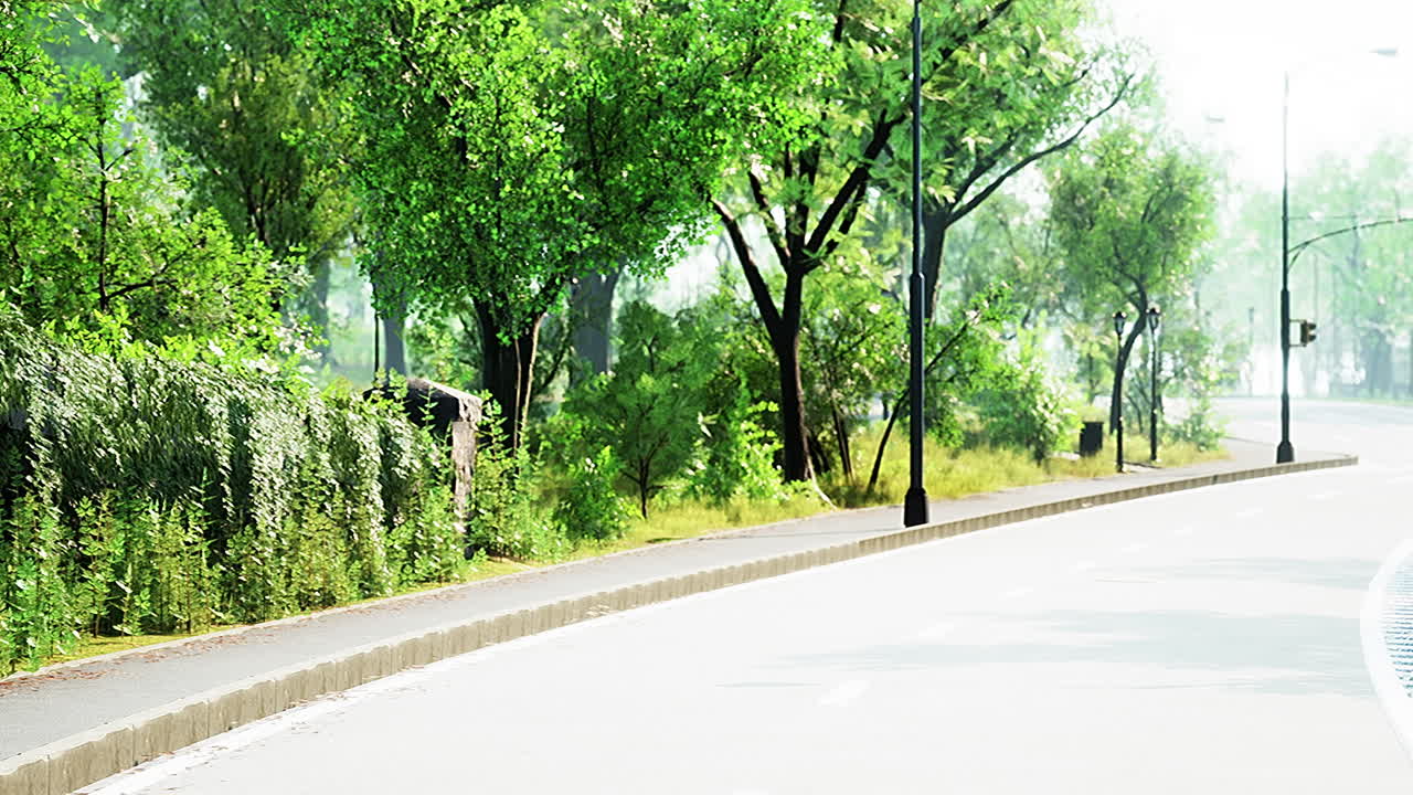 숲 한가운데 를 가로지르는 도로 의 사진