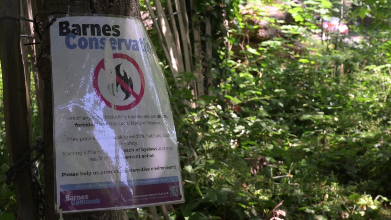 Un cartello che vieta i fuochi è esposto in modo ben visibile a Barnes Common, circondato da fitta vegetazione. Utile per campagne di sensibilizzazione ambientale o di sicurezza
