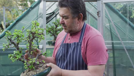 jardinero caucásico chequeando el árbol y sonriendo en el centro del jardín