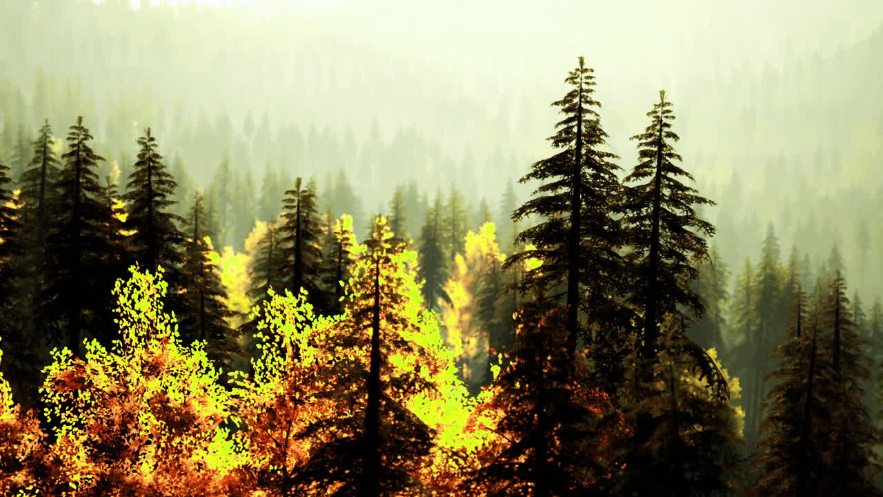 Vibrant autumn foliage in a serene forest landscape at dawn