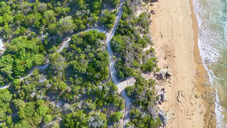 Aerial footage captures a serene beach and lush forest path in Point Lonsdale, Victoria, under bright daylight