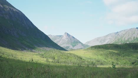 verdant nature of spring mountains during sunny day in lonketind, norway