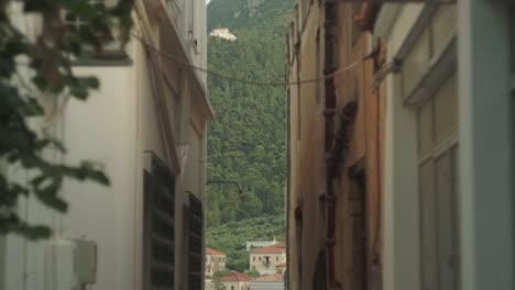 mediterranean forest framed by old brown and off white buildings of leonidio greece