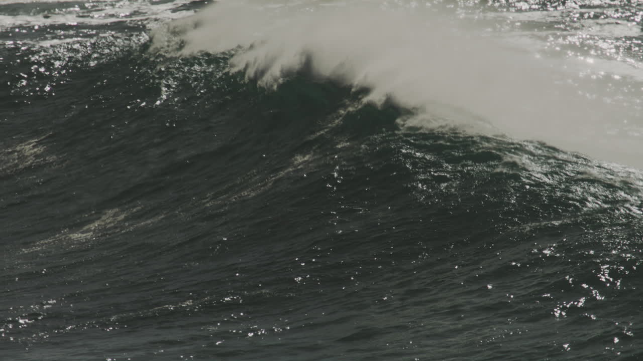 Backlit crest feathers into spray, powerful ocean movement across a textured surface