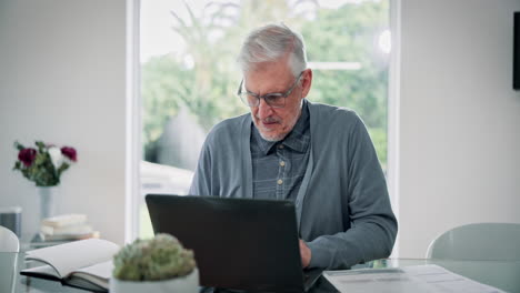 Happy Senior Man on Video Call