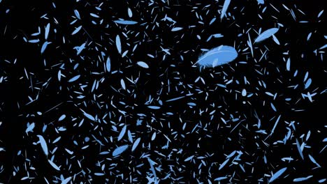 light blue feathers soaring particles motion graphics